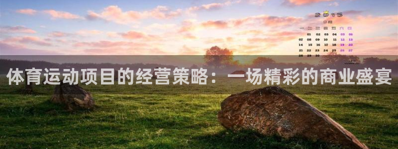 oety欧亿：体育运动项目的经营策略：一场精彩的商业盛宴