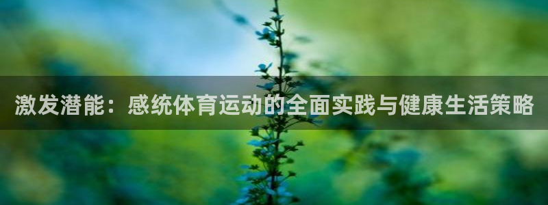 oety欧亿：激发潜能：感统体育运动的全面实践与健康生活策略