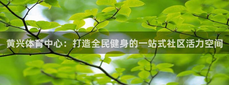 oety欧亿：黄兴体育中心：打造全民健身的一站式社区活力空间